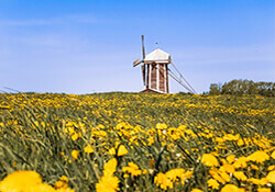 Fietsroute Holland door de bril van de toerist